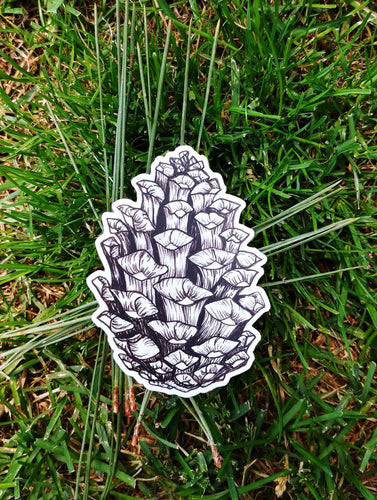 Ponderosa Pine Cone Sticker: Seconds Sale