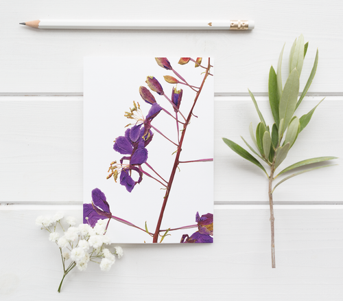 Fireweed Pressed Wildflower Greeting Card / Flower Card / Plant Lover / Floral Notecard