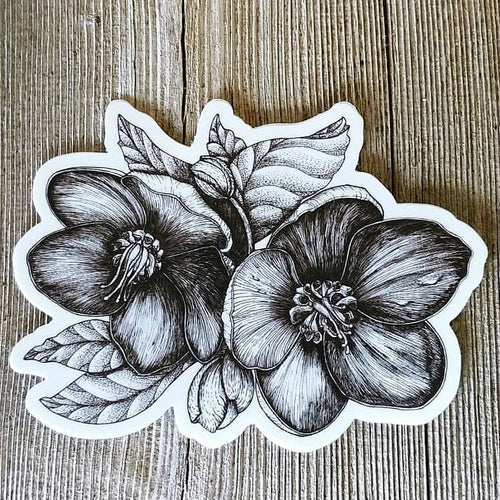 Hellebore Flower Sticker: Seconds Sale