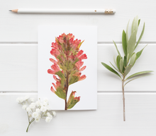 Load image into Gallery viewer, Paintbrush Pressed Wildflower Greeting Card / Flower Card / Plant Lover / Floral Notecard