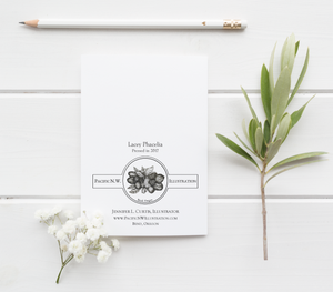 Lacey Phacelia Pressed Wildflower Greeting Card / Flower Card / Plant Lover / Floral Notecard