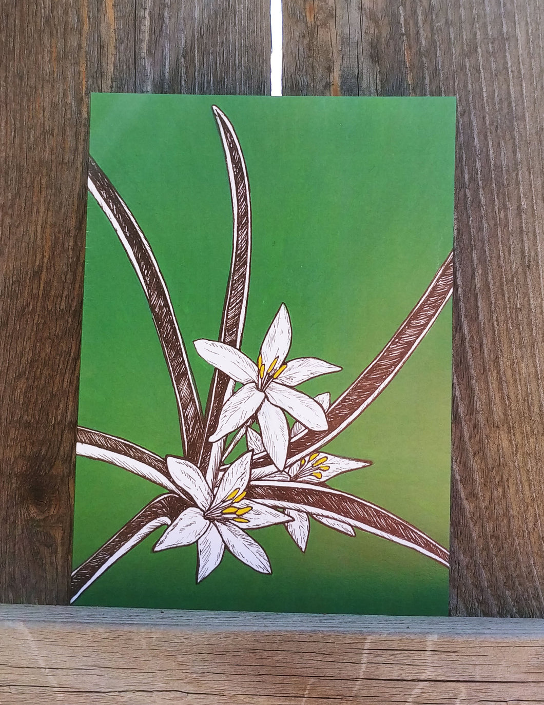 Sand Lily Greeting Card