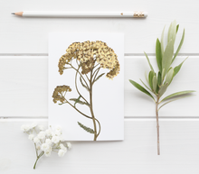 Load image into Gallery viewer, Yarrow Pressed Wildflower Greeting Card / Botanical Art / Plant Lover / Floral Notecard